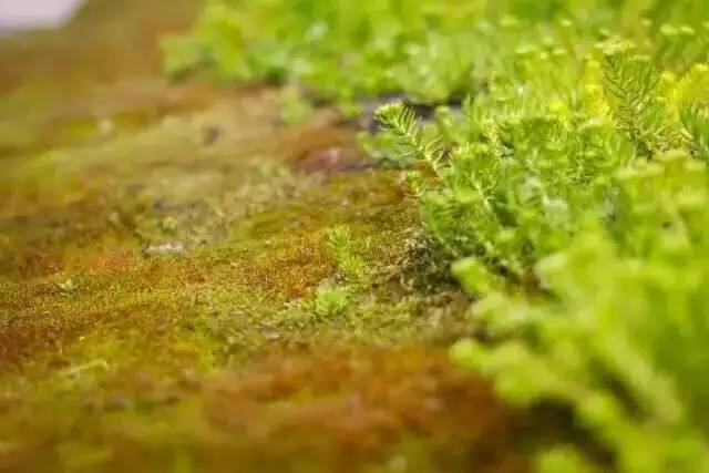 伟德体育 - 综合体育赛事平台|奥体中心相助同伴