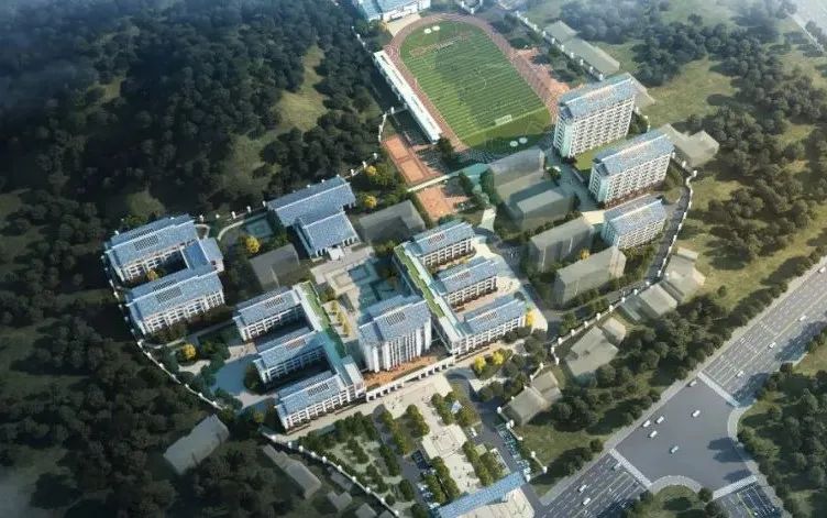 伟德体育 - 综合体育赛事平台|奥体中心相助同伴